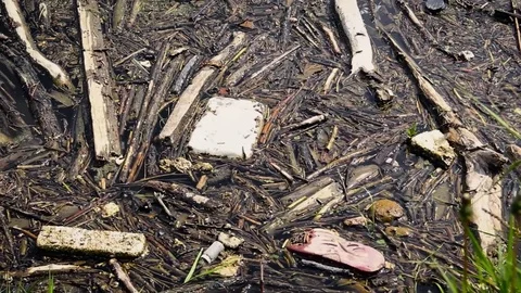 Garbage floats on water Stock-Footage 75567682