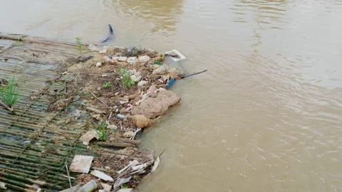 Garbage flows along the river together in lumps, sending a foul smell through Stock Footage 168519340