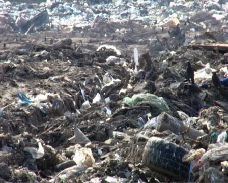 Garbage Stock Footage 1078383