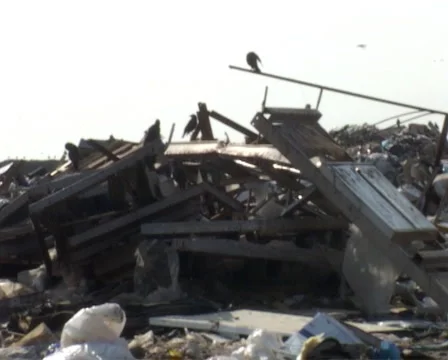 Garbage Stock-Footage 1078388