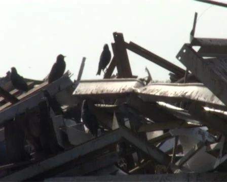 Garbage Stock Footage 1078391