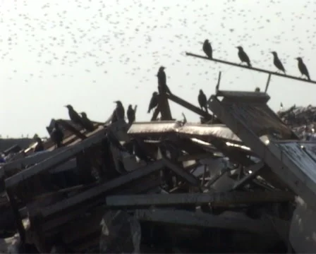 Garbage Stock Footage 1078395