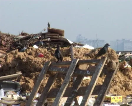 Garbage Stock-Footage 1078400