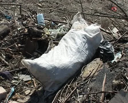 Garbage 스톡 동영상 11263100