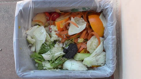 Garbage Stock Footage 24565065