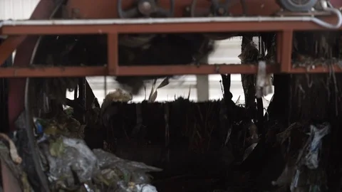 Garbage Stock Footage 121525141