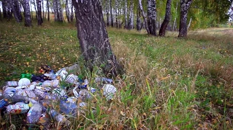 Garbage in the forest in autumn. environmental pollution Stock Footage 52310966
