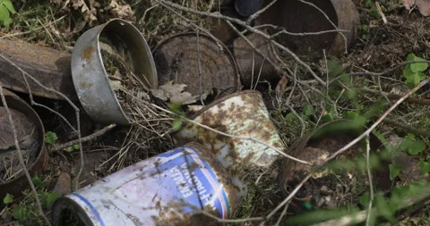 Garbage in the forest, close-up, 4K slomo Stock Footage 244385098