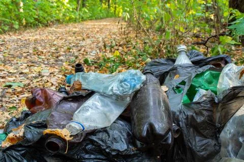 Garbage in the forest, consisting of plastic bottles and plastic bags Foto stock