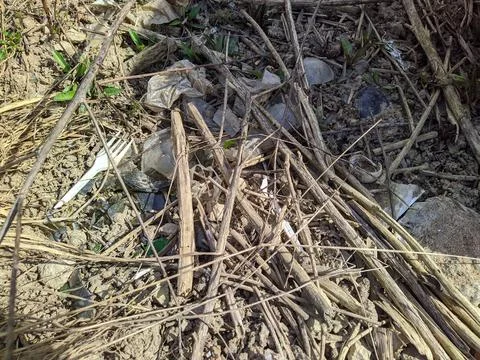 Garbage in the forest during the day 写真素材