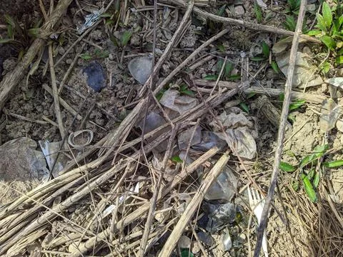 Garbage in the forest during the day Stock Photos