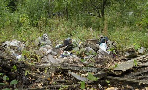 Garbage in the forest. Ecologic problem. Stock Photos