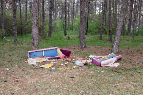 Garbage in the forest. Environmental pollution. Man and nature. Stock Photos
