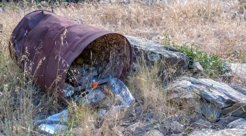 Garbage in the forest, environmental pollution by plastic. Stock Photos