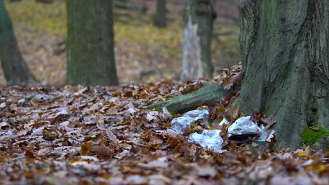 Garbage in forest. Garbage in nature Stock Footage 145203663