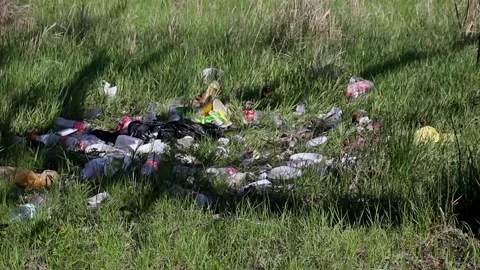 Garbage in a forest glade Vídeos de archivo 107881497