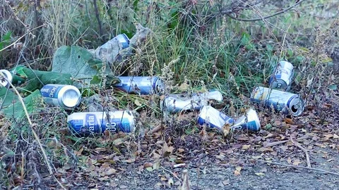 Garbage in the forest. People illegally throw garbage into the forest. Stock Footage 119154704