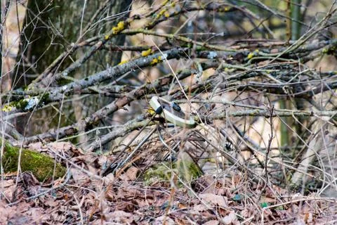 Garbage in the forest Stock Photos