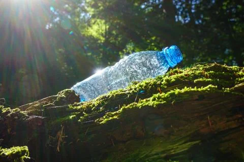Garbage in forest Stock Photos