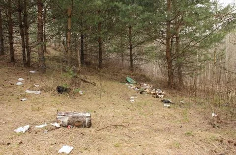 Garbage in the forest Stock Photos
