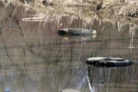 Garbage in the forest river. The problem of ecology and pollution of nature Stock Photos
