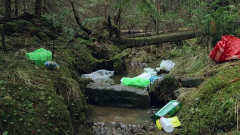 Garbage in a forest stream Video stock 258841309