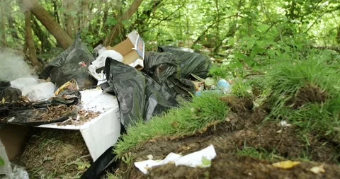 A garbage in the forest with thick white smoke Stock Footage 93007320