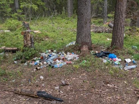 Garbage in the forests Foto stock