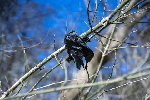 Garbage found in a thickly forested area in the Austin, Texas Hill Country. Stock Photos