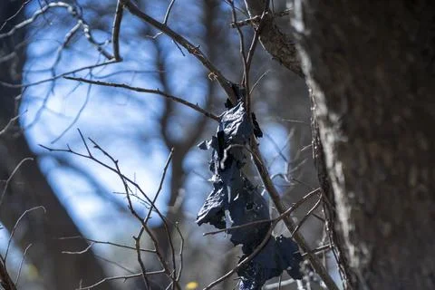 Garbage found in a thickly forested area in the Austin, Texas Hill Country. Stock Photos