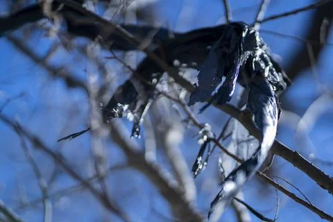 Garbage found in a thickly forested area in the Austin, Texas Hill Country. Stock Photos