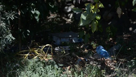 Garbage in the green Stock Footage 121089972
