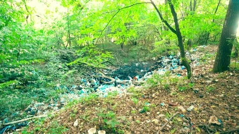 Garbage in the green forest Stock Footage 80598105