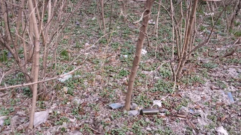 Garbage on the ground in the park. The problem of environmental pollution.The Stock Footage 105464865