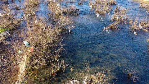 Garbage hanging on bare shrubs in a blue river stream bed Video stock 127314097