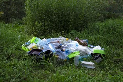 Garbage heap in the forest - plastic bottles and disposable containers Stock Photos