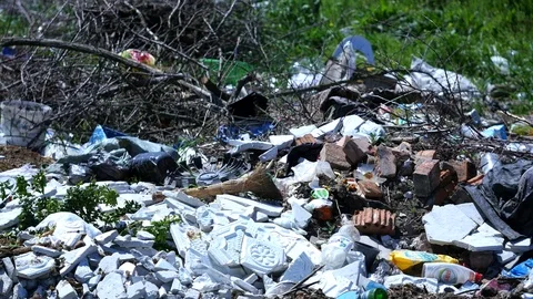 Garbage on hill near forest Stock Footage 76958697