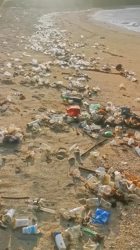 Garbage on Indonesian beach Stock Footage 335526782