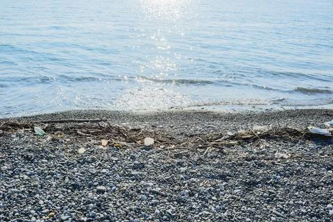 Garbage, junk, litter, broken tree branches on pebble shore sea beach Stock Photos