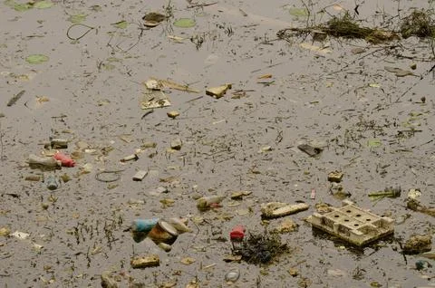 Garbage in a lagoon. Stock Photos