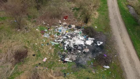 Garbage landfill in the autumn forest Stock Footage 170778342