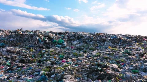 Garbage landfill in the autumn forest Stock Footage 170778611