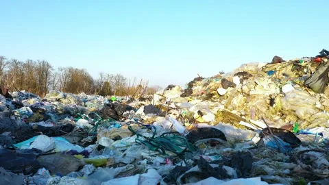 Garbage landfill in the autumn forest Stock Footage 170778658