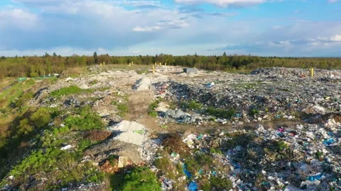 Garbage landfill in the autumn forest Stock Footage 170778676