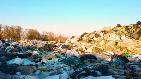 Garbage landfill in the autumn forest Stock Footage 170913070