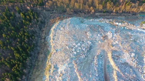 Garbage landfill in the autumn forest Stock Footage 170913075