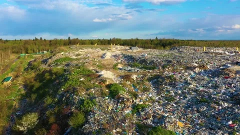 Garbage landfill in the autumn forest Stock Footage 170913100