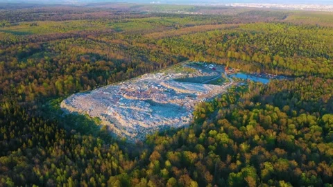 Garbage landfill in the autumn forest Stock Footage 170913109