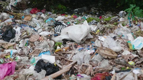 Garbage in Landfill, Bali Stock Footage 147279832