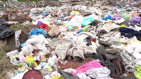 Garbage in landfill near forest - environment pollution Stock Footage
